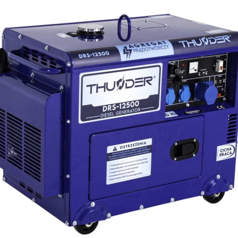 Дизельний генератор THUNDER DRS-12500 (5,5 кВт), електростанція дизельна для дому.